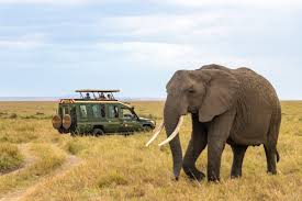 Hells Gate Wildlife