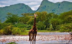 Lake Elementaita Scenery