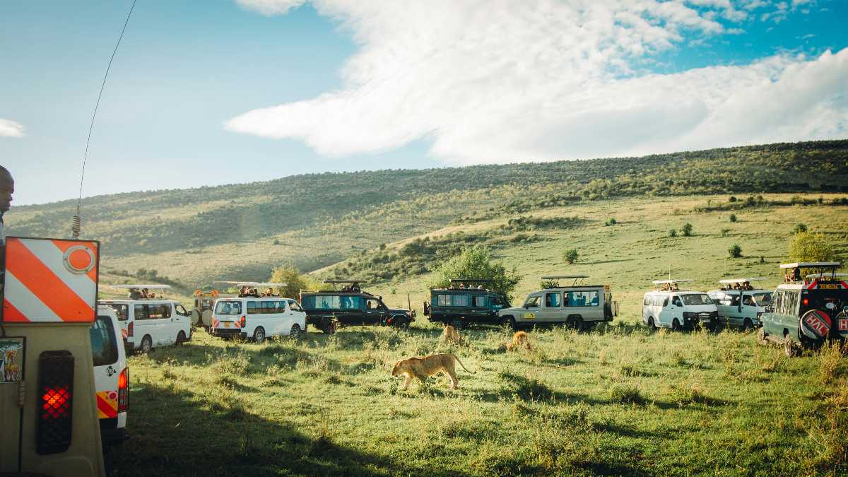 Maasai Mara Wildlife