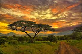 Tsavo West Landscape